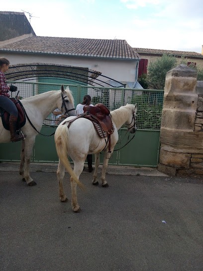Tabac Presse Cadeaux LE MATHOGANA, Bureau de Tabac à Marguerittes