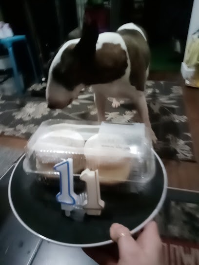 Tabac De La Mairie, Bureau de Tabac à Hoenheim