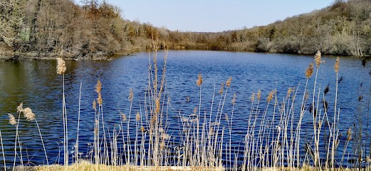 CAFÉ DES SPORTS DE PRÉMONTRÉ, Bureau de Tabac à Prémontré