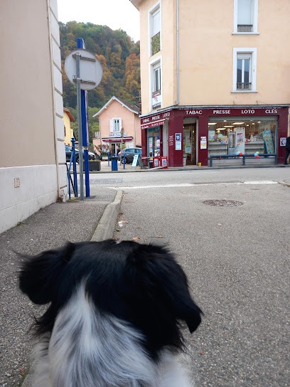 Tabac Presse Loto Sandrine, Bureau de Tabac à Villard-Bonnot