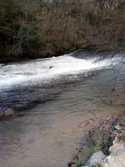 L'Arrêt Au Stand, Bureau de Tabac à Ternand