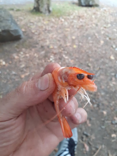 Bureau De Tabac, Bureau de Tabac à Paimboeuf