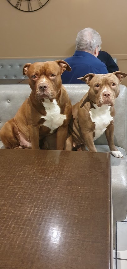 Tabac Presse Du Belvédère, Bureau de Tabac à Talant