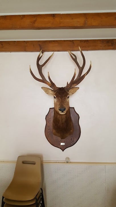 Jacotin Bernadette, Bureau de Tabac à Saint-Vincent-Jalmoutiers