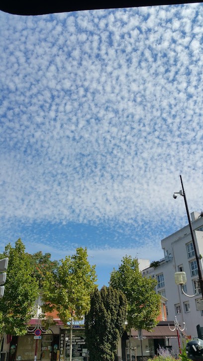 Le Celtique, Bureau de Tabac à Enghien-les-Bains