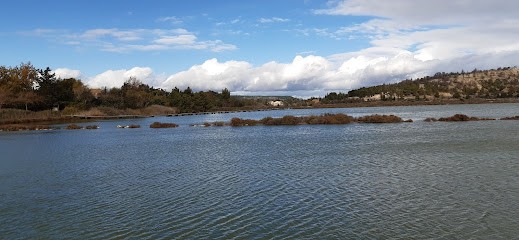 Tabac Presse Alimentation, Bureau de Tabac à Vendegies-sur-Écaillon