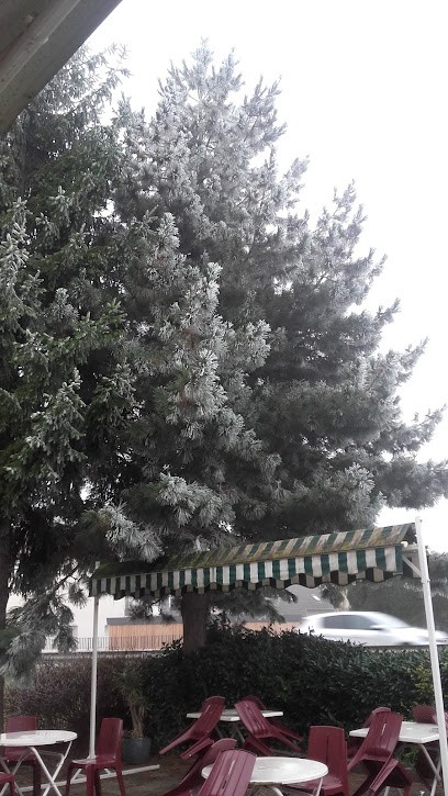 Snc Alberna, Bureau de Tabac à Ornex