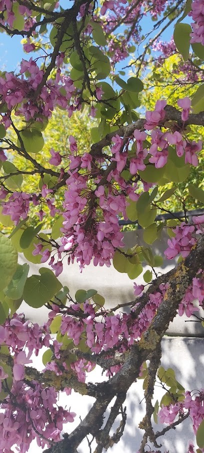 TABAC, Bureau de Tabac à Mérignac
