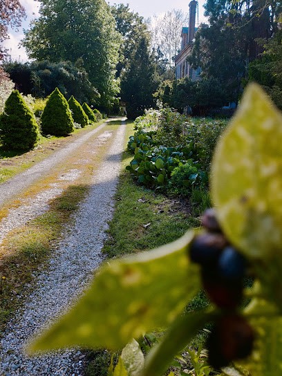 La Civette, Bureau de Tabac à Touques