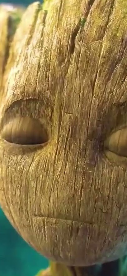 Mag Presse - Tabac Presse FDJ, Bureau de Tabac à Roye