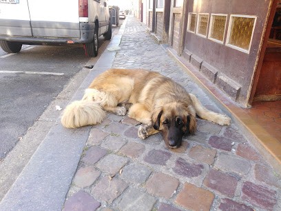 Aux Gitanes, Bureau de Tabac au Havre