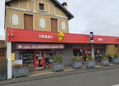 Le Mimosa, Bureau de Tabac à Châtel-Guyon