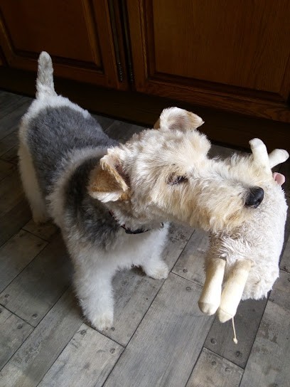 Tabac Presse Du Plessis, Bureau de Tabac à Montceau-les-Mines
