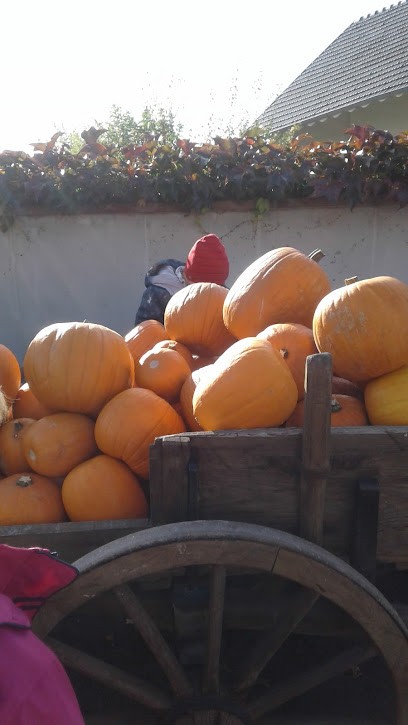 Tabac FURDENHEIM, Bureau de Tabac à Furdenheim