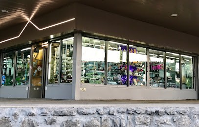 Berthod Jean-Noël, Bureau de Tabac à Lons-le-Saunier