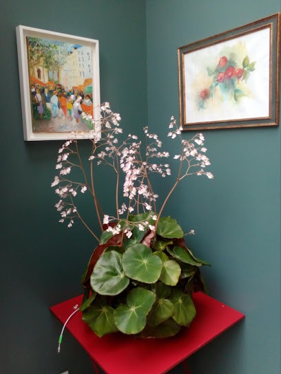 Tabac Presse Loto, Bureau de Tabac à Saintes