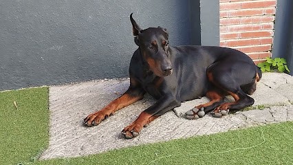 Le Sister’s, Bureau de Tabac à Saint-André-sur-Orne