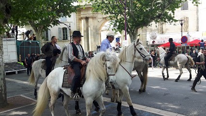 Le Globe, Bureau de Tabac à Tarascon