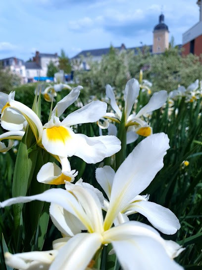 Le Globe Trotteur, Bureau de Tabac à Beaumont-Pied-de-Boeuf