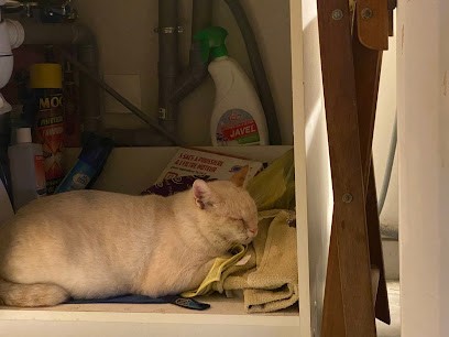 Presse, Tabacs, Bureau de Tabac à Sarras