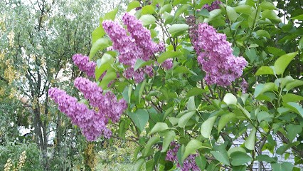 Le Marigny, Bureau de Tabac à Pantin