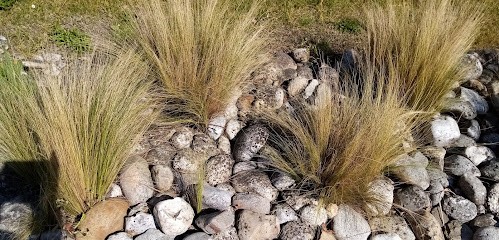 Dubarry Camille, Bureau de Tabac à Mios