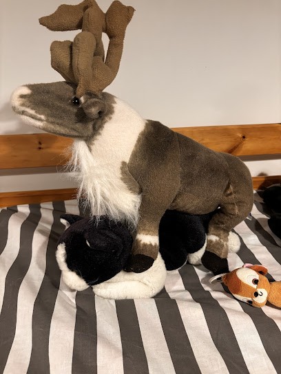 Tabac Presse Trévou-Tréguignec, Bureau de Tabac à Trévou-Tréguignec